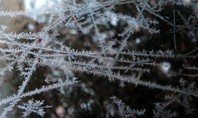 frost-3141525_960_720
