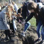 (fot. Adam Zakrzewski/torun.pl)