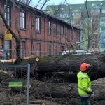 (fot. Adam Zakrzewski/torun.pl)